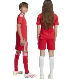 Shorts - FC Bayern München 25/26 - Pure Ruby|adidas Originals Sale