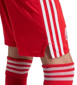 Shorts - FC Bayern München 25/26 - Pure Ruby|adidas Originals Sale
