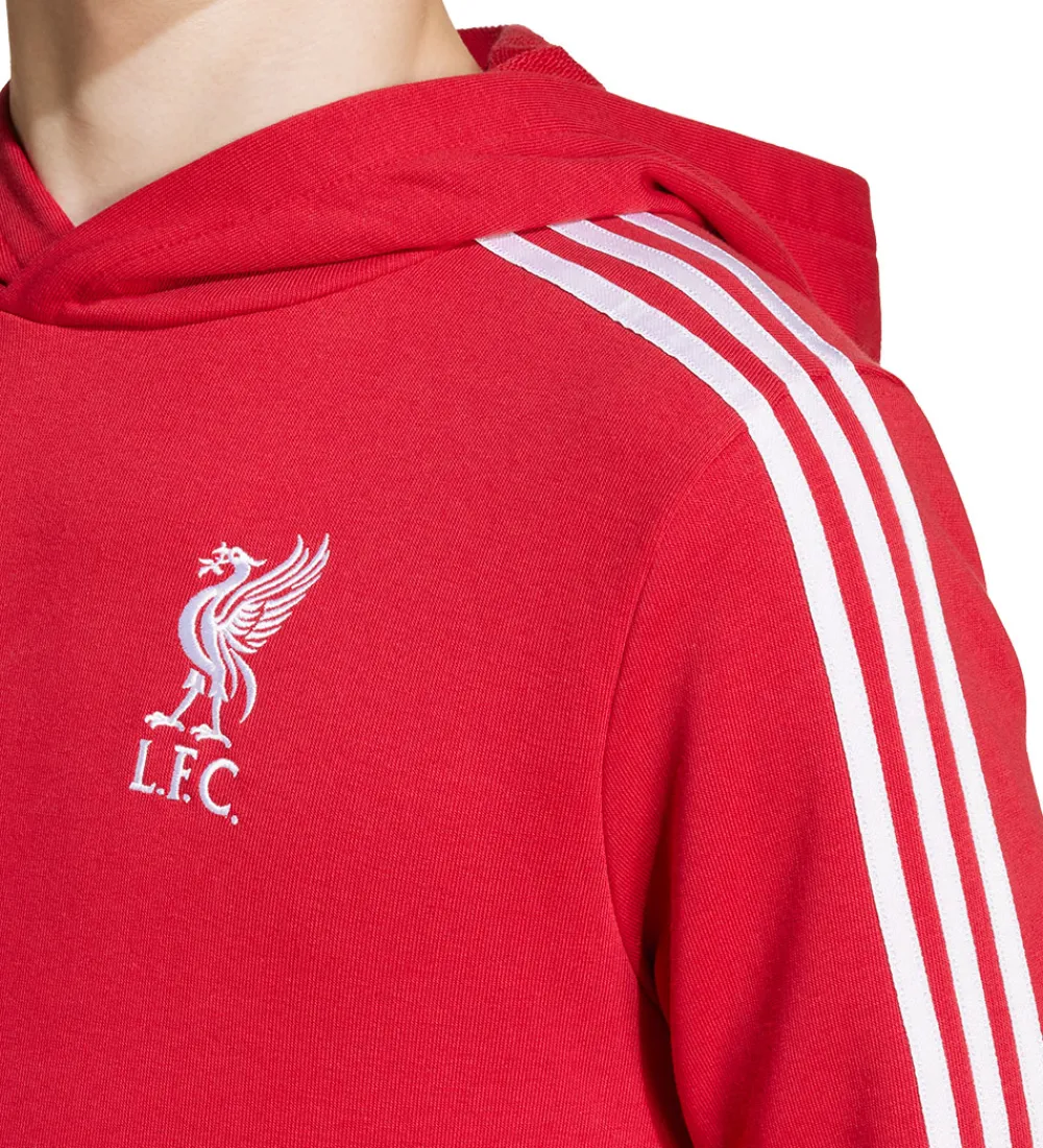Hættetrøje - Liverpool FC - Strawberry Red|adidas Performance New