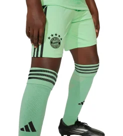 Shorts - FC bayern München 25/26 Målmand - Gl|adidas Performance Hot