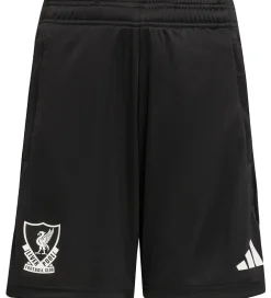 Shorts - Liverpool Youth 25/26 - Sort|adidas Performance