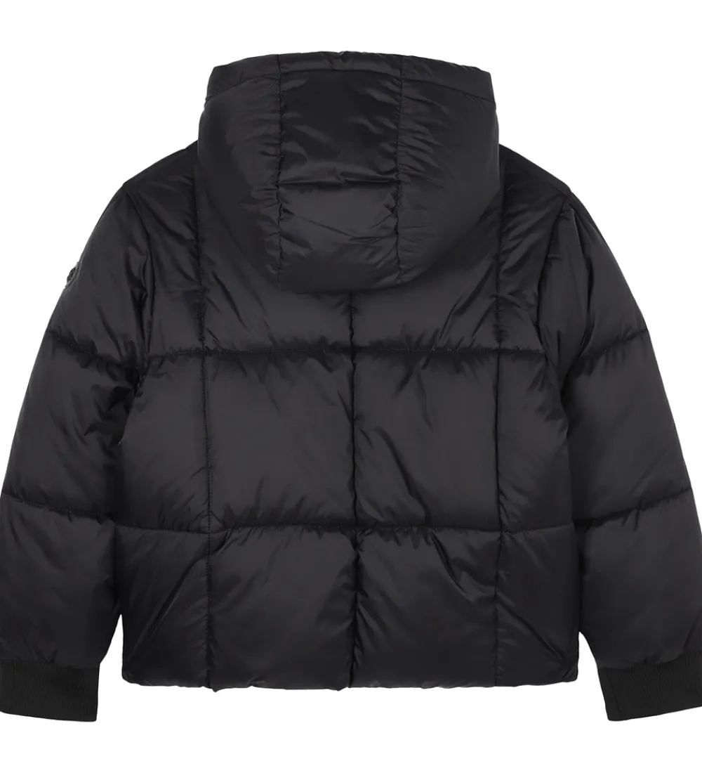 Dynejakke - Sort|BOSS Online