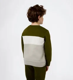 Sweatshirt - Immersive Olive|Champion Best