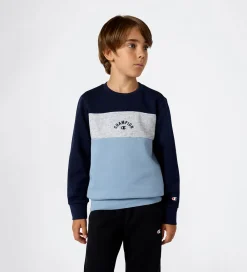 Sweatshirt - Sky Captain|Champion Hot