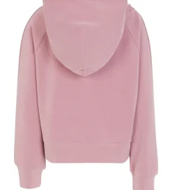 Hættetrøje - Lilas|Emporio Armani Best