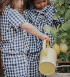 Shorts - Cargo - Zorro - Insignia Sandshell Check|Fliink Discount