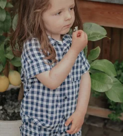 Shorts - Cargo - Zorro - Insignia Sandshell Check|Fliink Discount