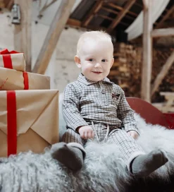 Sweatshirt - HCSofus - Biscuit m. Tern|Hust and Claire Sale