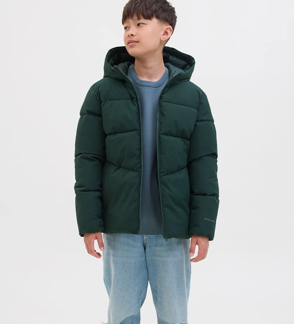 Dynejakke - JjGlobal - Scarab|Jack & Jones Online