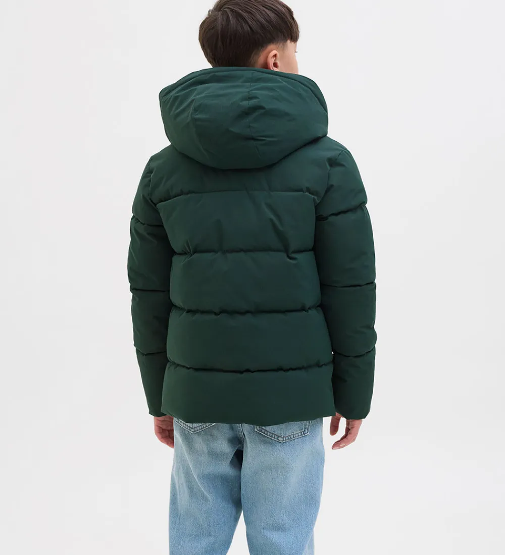 Dynejakke - JjGlobal - Scarab|Jack & Jones Online