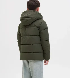 Dynejakke - JjGlobal - Rosin|Jack & Jones Sale