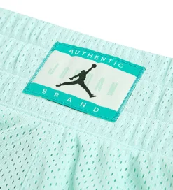 Shorts - Dri-Fit - Igloo m. Print|Jordan New