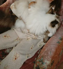 Sweatpants - Belli - Miao Amore|Konges Sløjd