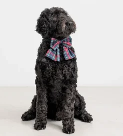 Hårspænde - Alina L - Pilot Navy Check|MarMar Discount