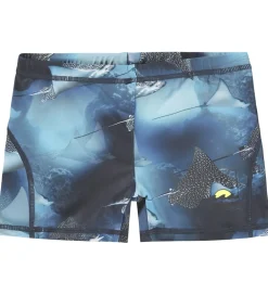 Badebukser - UV50+ - Norton - Into The Blue|Molo Best