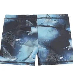 Badebukser - UV50+ - Norton - Into The Blue|Molo Best