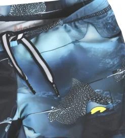 Badebukser - UV50+ - Norton - Into The Blue|Molo Best