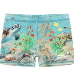 Badebukser - UV50+ - Norton Placed - Happy Ocean|Molo Hot