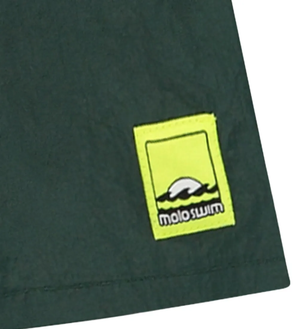 Badeshorts - UV50+ - Niko Solid - Wood Green|Molo Sale
