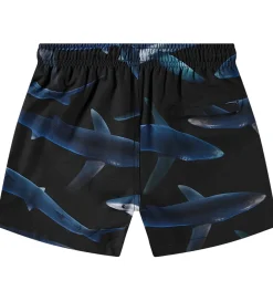 Badeshorts - UV50+ - Niko - Midnight Sharks|Molo Sale