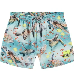 Badeshorts - UV50+ - Niko - Marine Turtles|Molo Outlet
