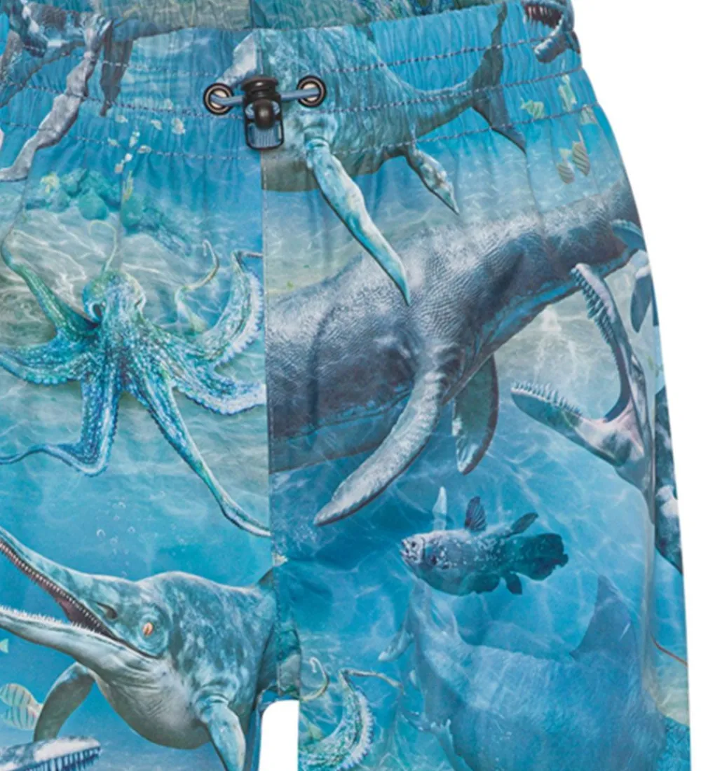 Regnbukser - Waits - Big Ancient Sea|Molo New