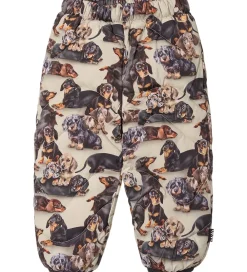 Skibukser - Percy - Dashshund Soft|Molo Online