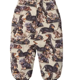 Skibukser - Percy - Dashshund Soft|Molo Online