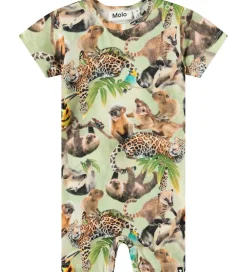 Sommerdragt - Finn - Jungle Cubs|Molo Best