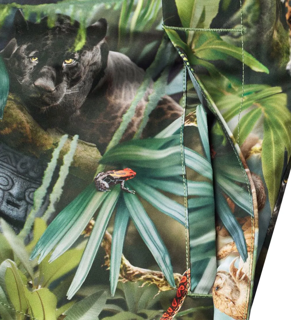 Sommerjakke - Hoplas - Jungle Life|Molo Hot