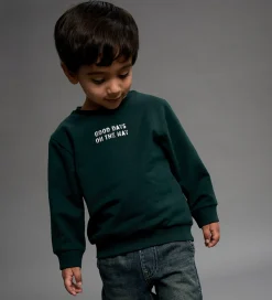 Sweatshirt - NmmSlade - Pine Grove|Name It Sale