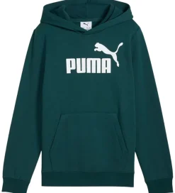 Hættetrøje - Green Terrain m. Logo|Puma New
